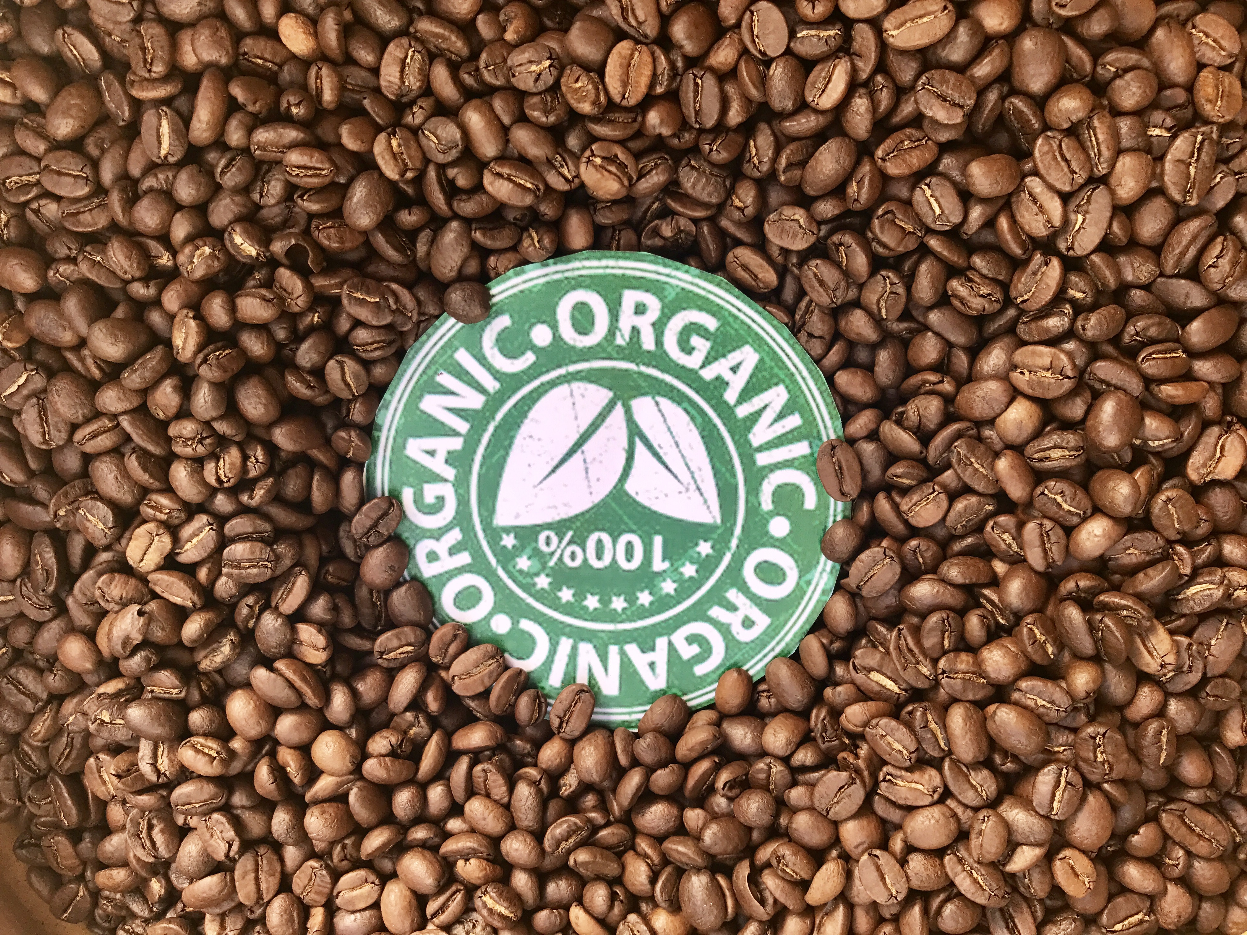 Nuestro café orgánico